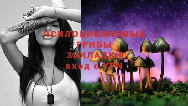 тгк Ростов