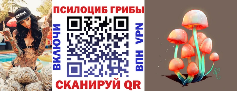 Псилоцибиновые грибы ЛСД где купить наркоту Канаш