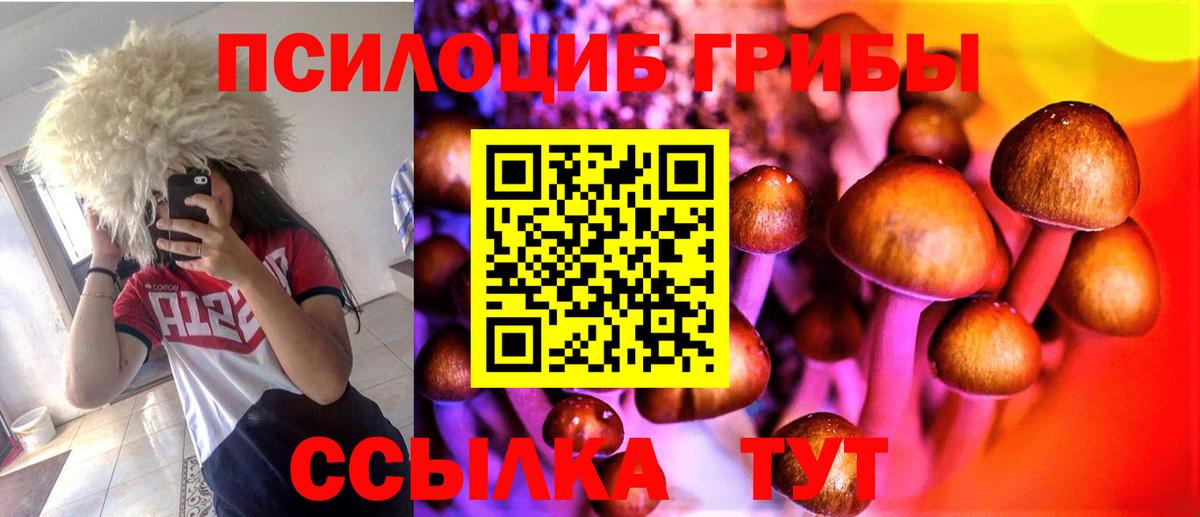 Галлюциногенные грибы мухоморы  Вход с VPN  что такое наркотик  Канаш  Псилоцибиновые грибы прущие грибы 